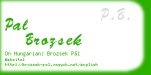 pal brozsek business card